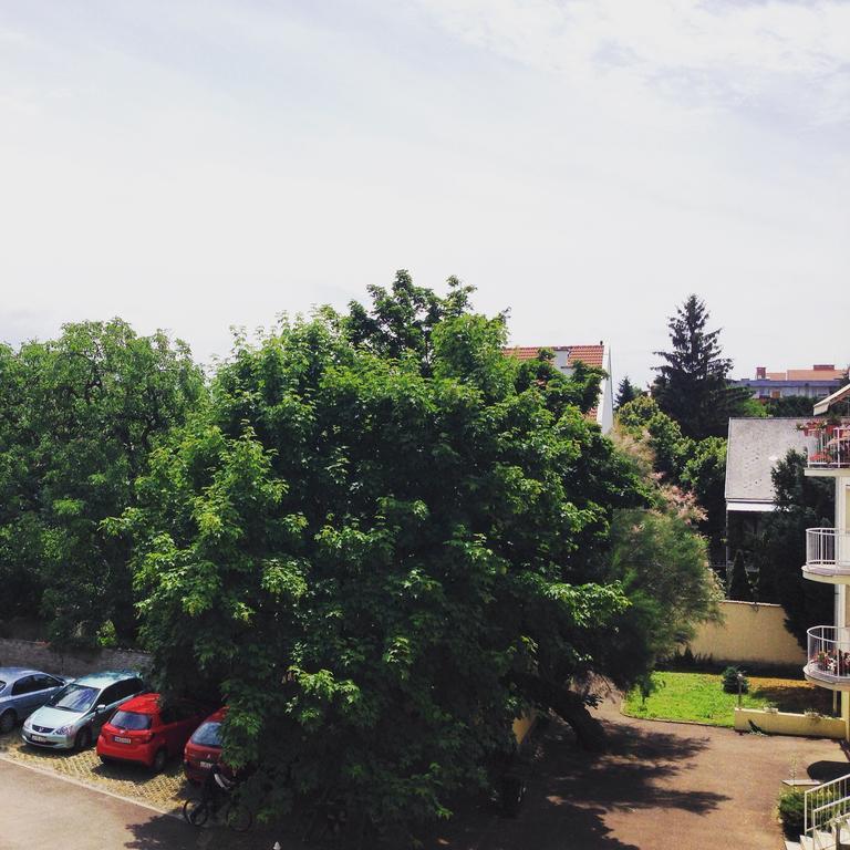 Tündérpart Apartment Eğri Oda fotoğraf